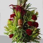 Carnation Flowers in a ceramic pot