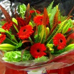 flowers in a coloured box