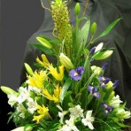 Flowers in a Ceramic Pot