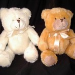 Teddy Bear soft toy