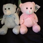 Teddy Bear for new baby