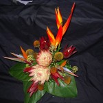 flowers for business and reception areas