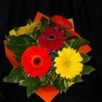 Bunch of Gerbera flowers