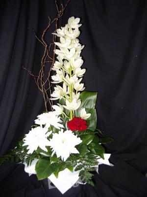 flowers arranged in a coloured box